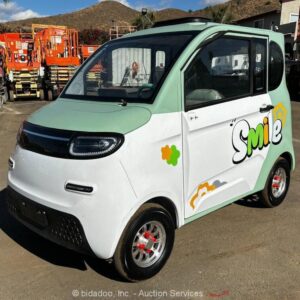 2024 Racoon RC-G150 Electric Vehicle EV Tiny Car Zero Emission 60v bidadoo -New